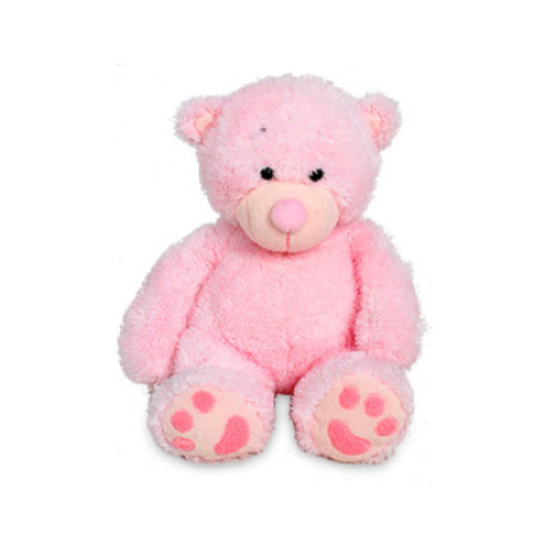 Pink Teddy Bear 